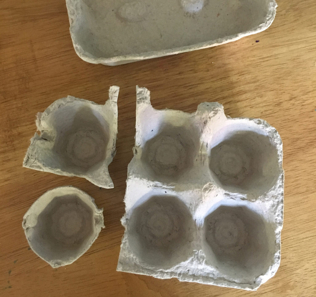 Egg box flower craft by Lottie Makes