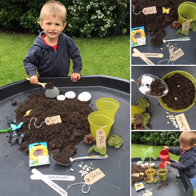 Planting seeds activity in the tuff tray