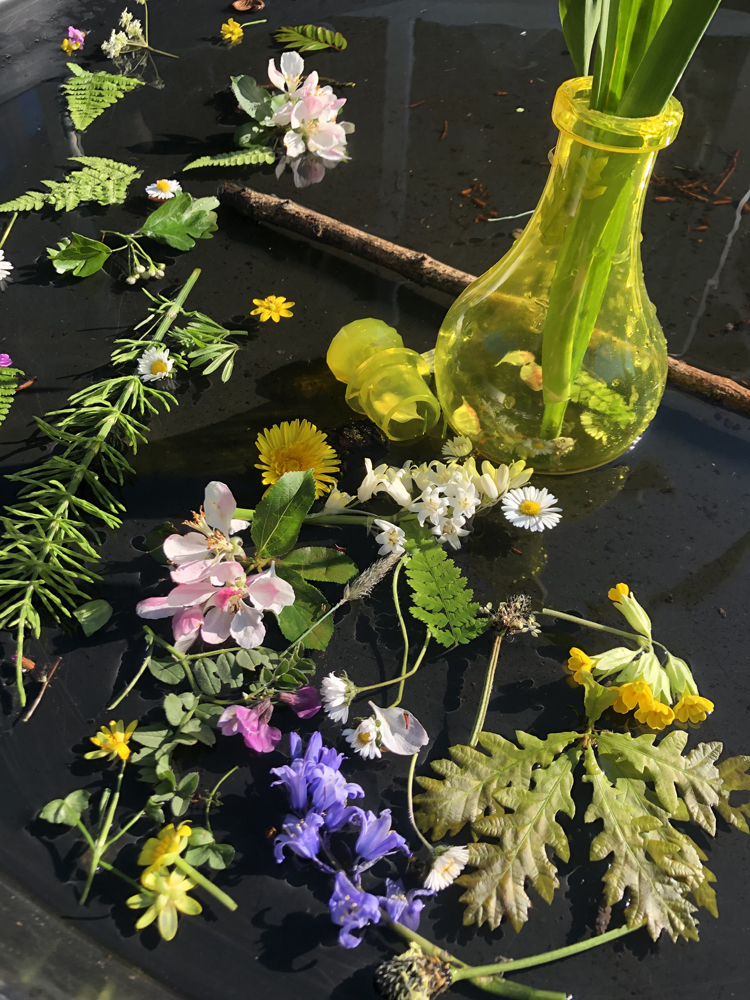Nature Trail Collections - perfume making in the tuff tray. Tuff tray play ideas with flowers.