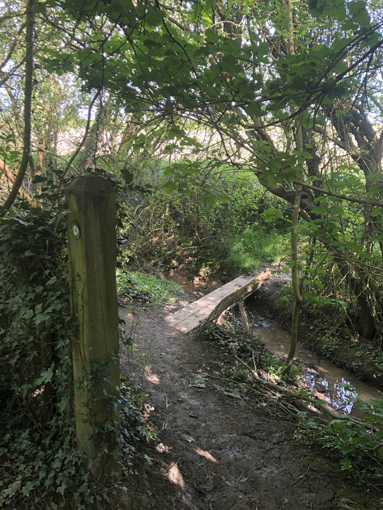 Nature Trail activity for children