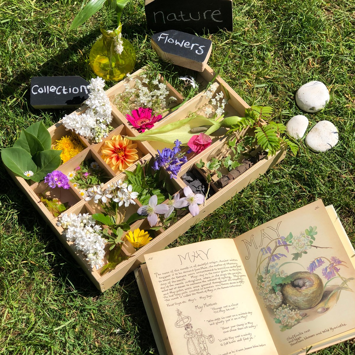 Nature Trail Collections and Natural Sensory Play in a Tinker&nbsp;Tray