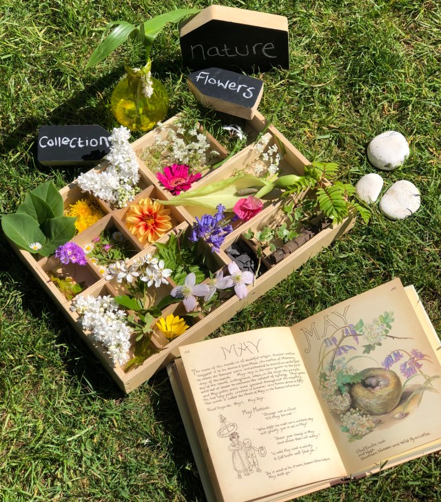 Displaying flowers and a natural collection in our tinker tray is also a lovely idea. You can sort your treasures into colours, sizes, identifying them.