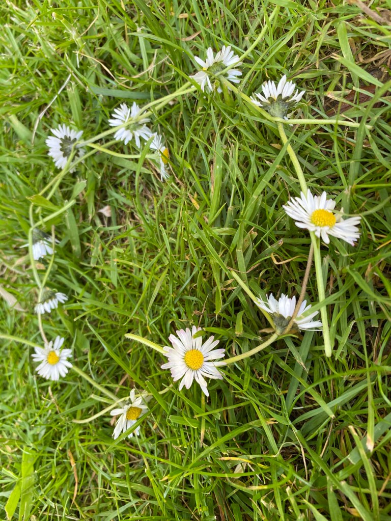 Nursery Rhymes in Play