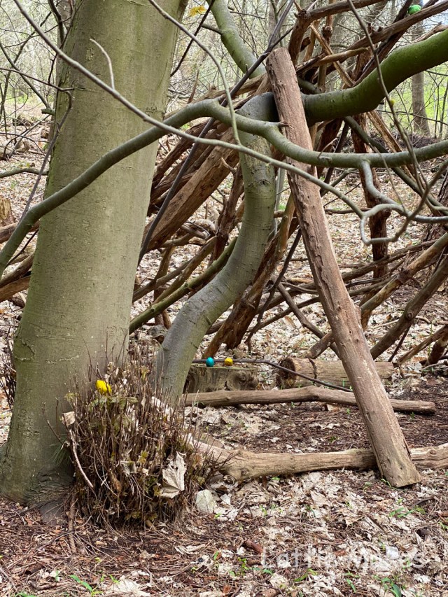den building - forest school activities
