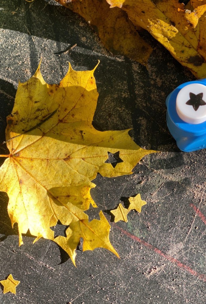 leaf confetti - forest school confetti