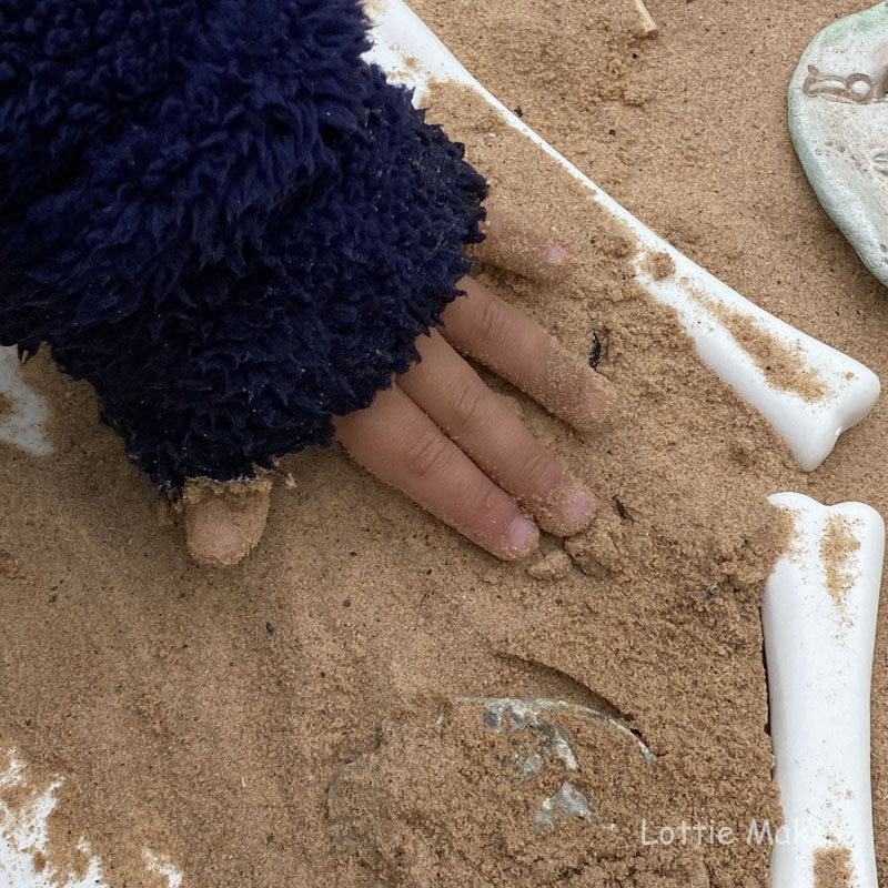 Digging for fossils and bones