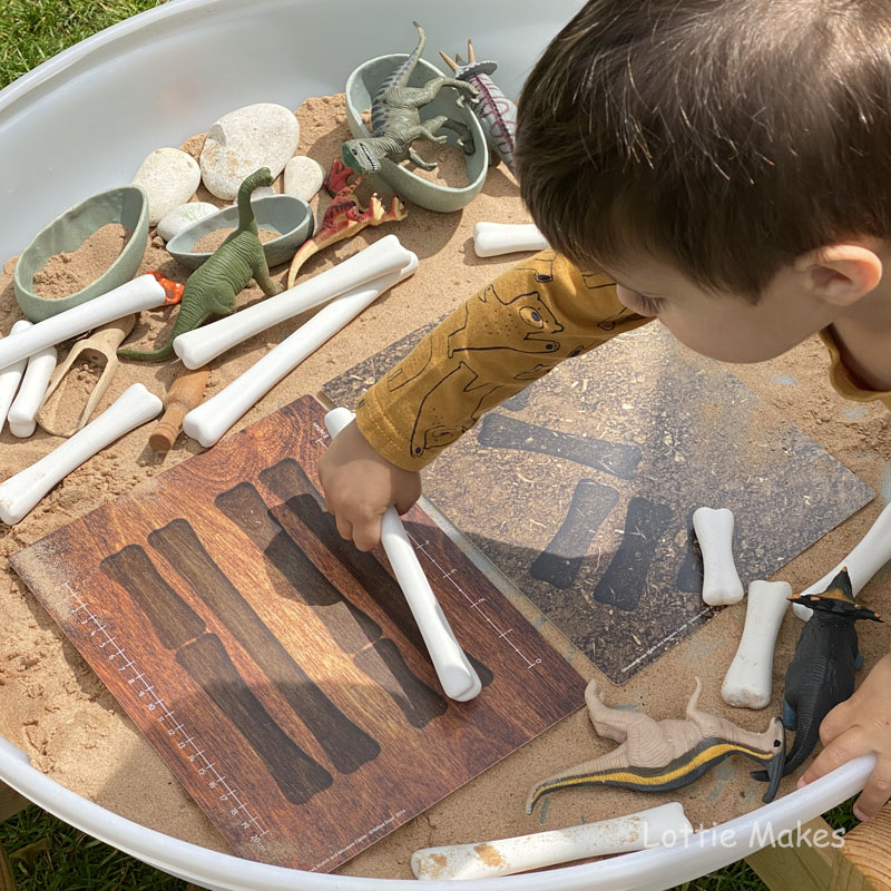 Measuring Bones - match and measure!