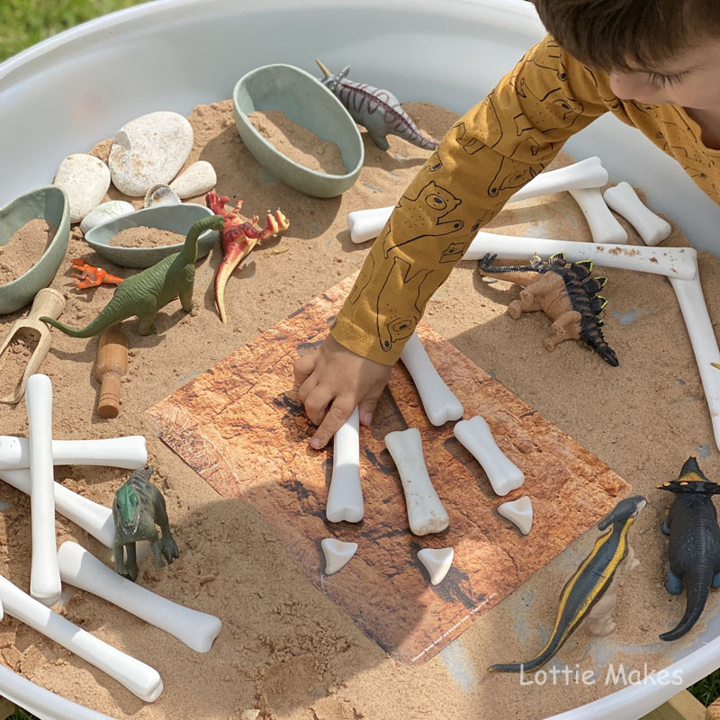 Measuring Bones - match and measure!