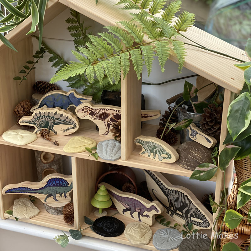 Dinosaur Discovery Shelves