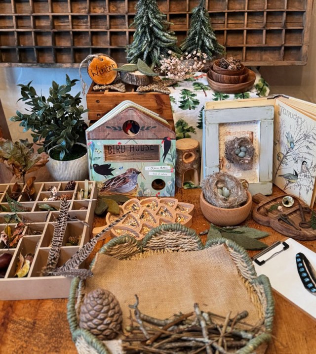 Exploring garden birds with children