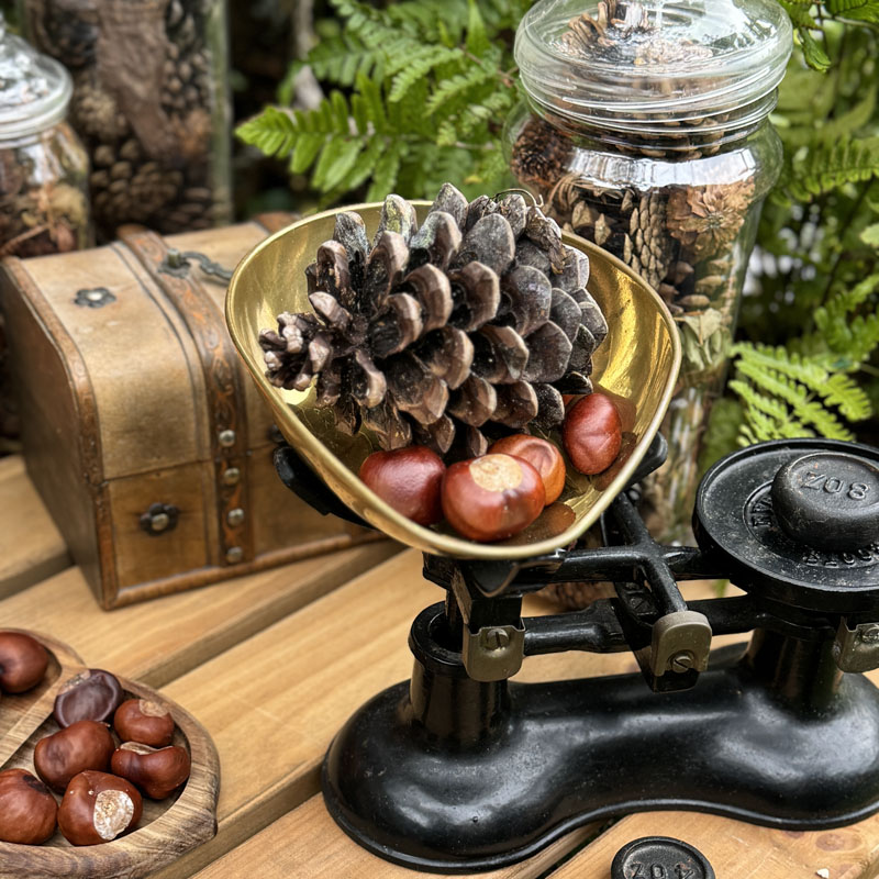 the scales in our mud kitchen were from the chairty shop....a great treasure to find!
