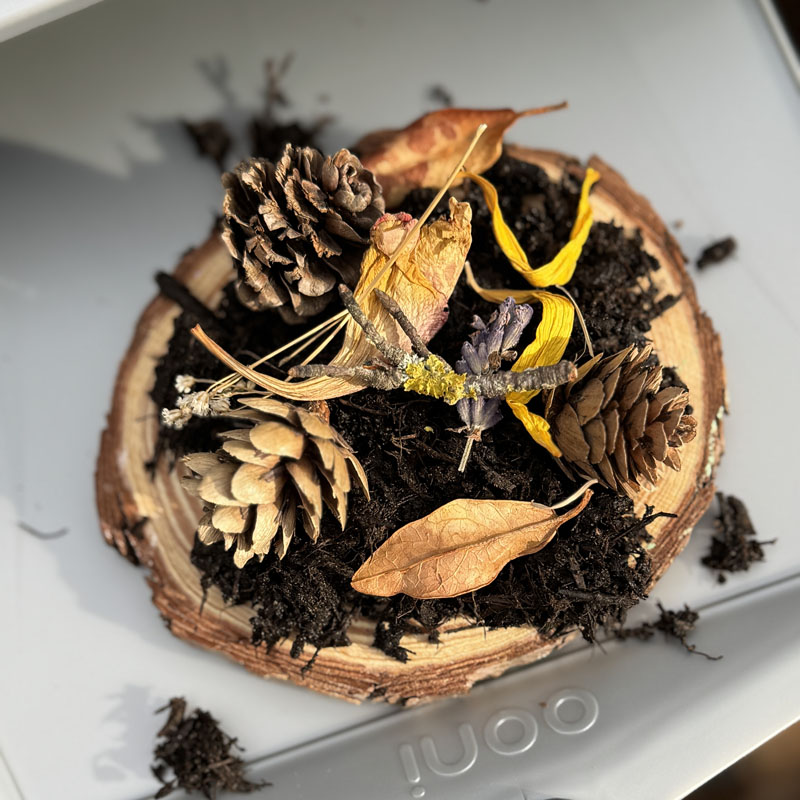 pizza oven ideas in the mud kitchen