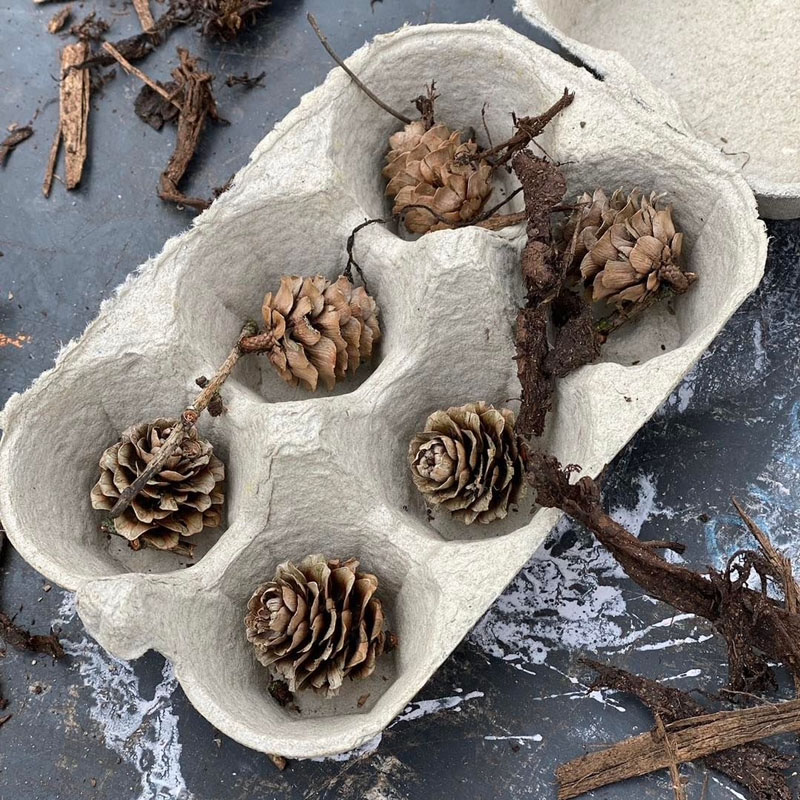 egg box nature counting in the mud kitchen