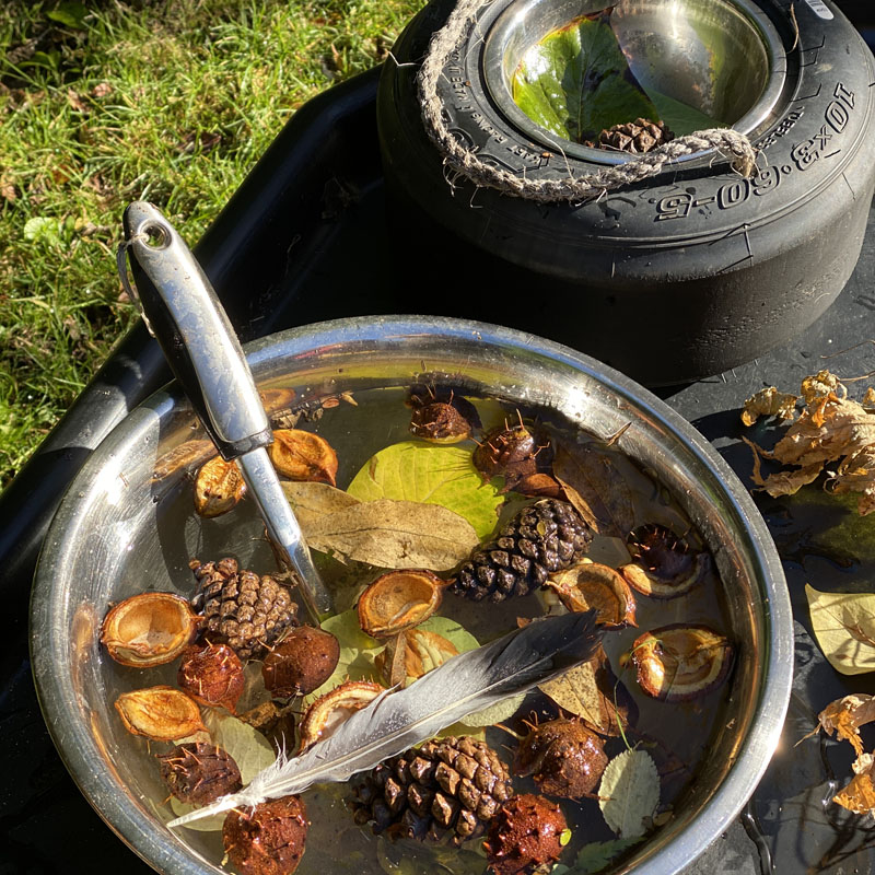 nature in the mud kitchen