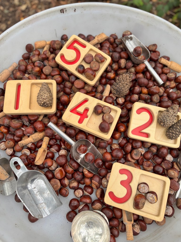 Here are some activity ideas that blend math concepts with mud kitchen play: