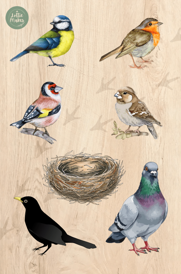 british birds wooden peg puzzle