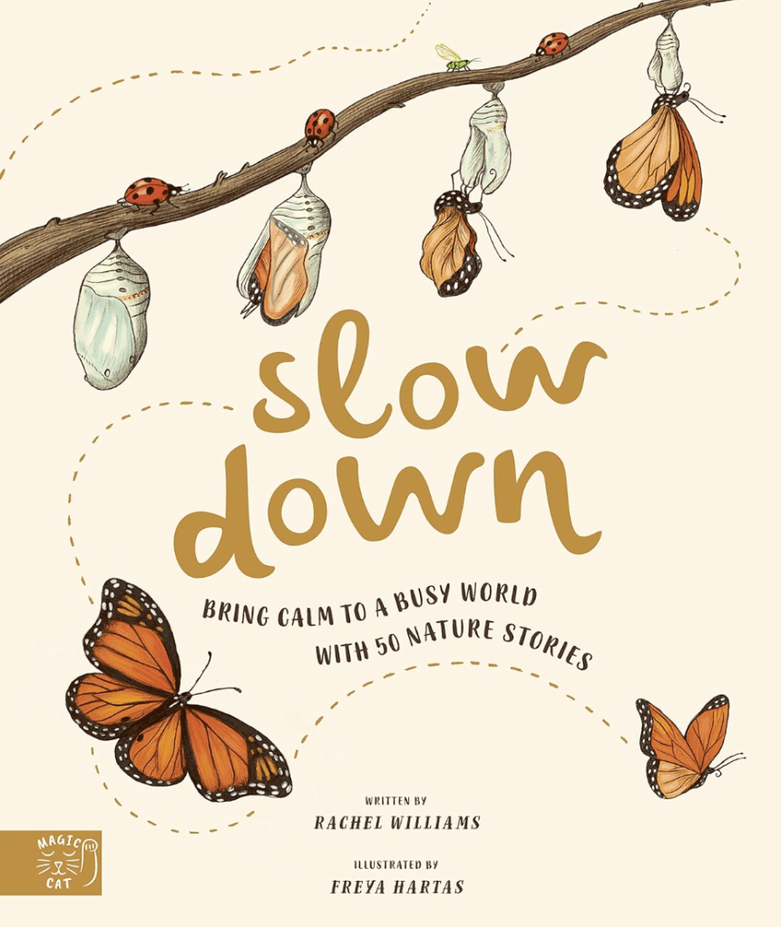 SLow Down - calming hygge book for children and adults